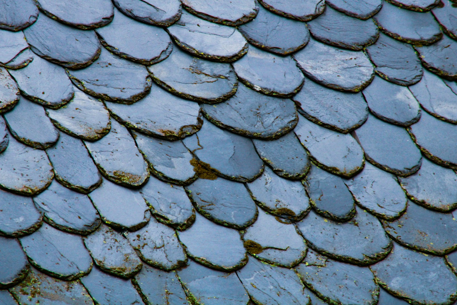 Natural slate roof texture showing overlapping slate tiles